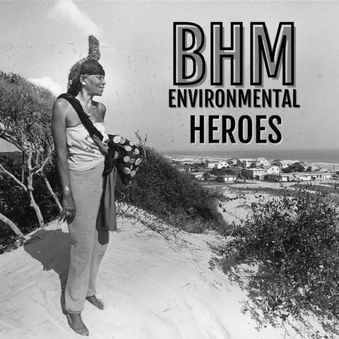 BHM - Environmental Heroes