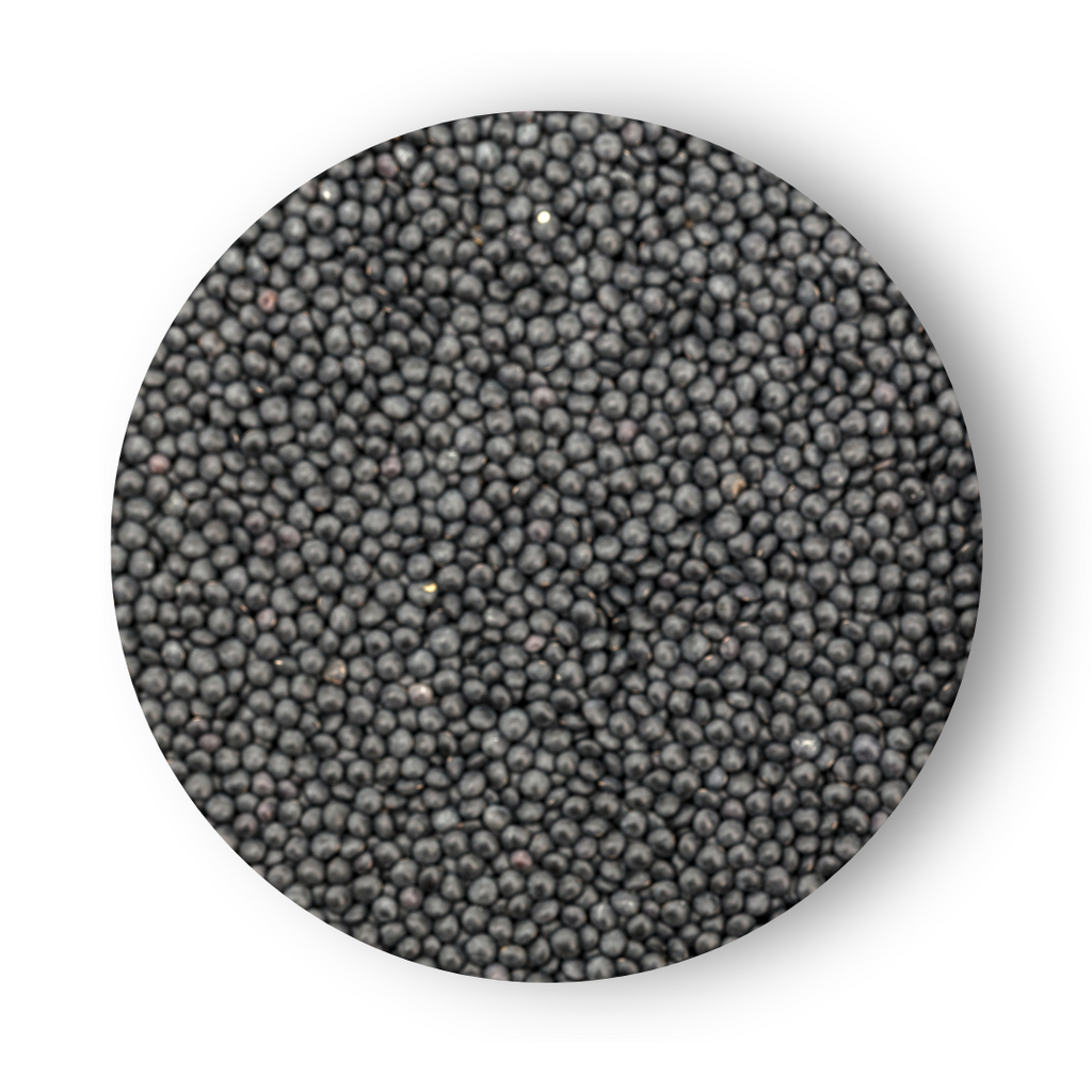 Black Lentils (Organic)