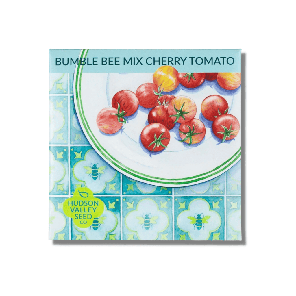 Bumble Bee Mix Cherry Tomato - Hudson Valley Seed Co. - Mason & Greens