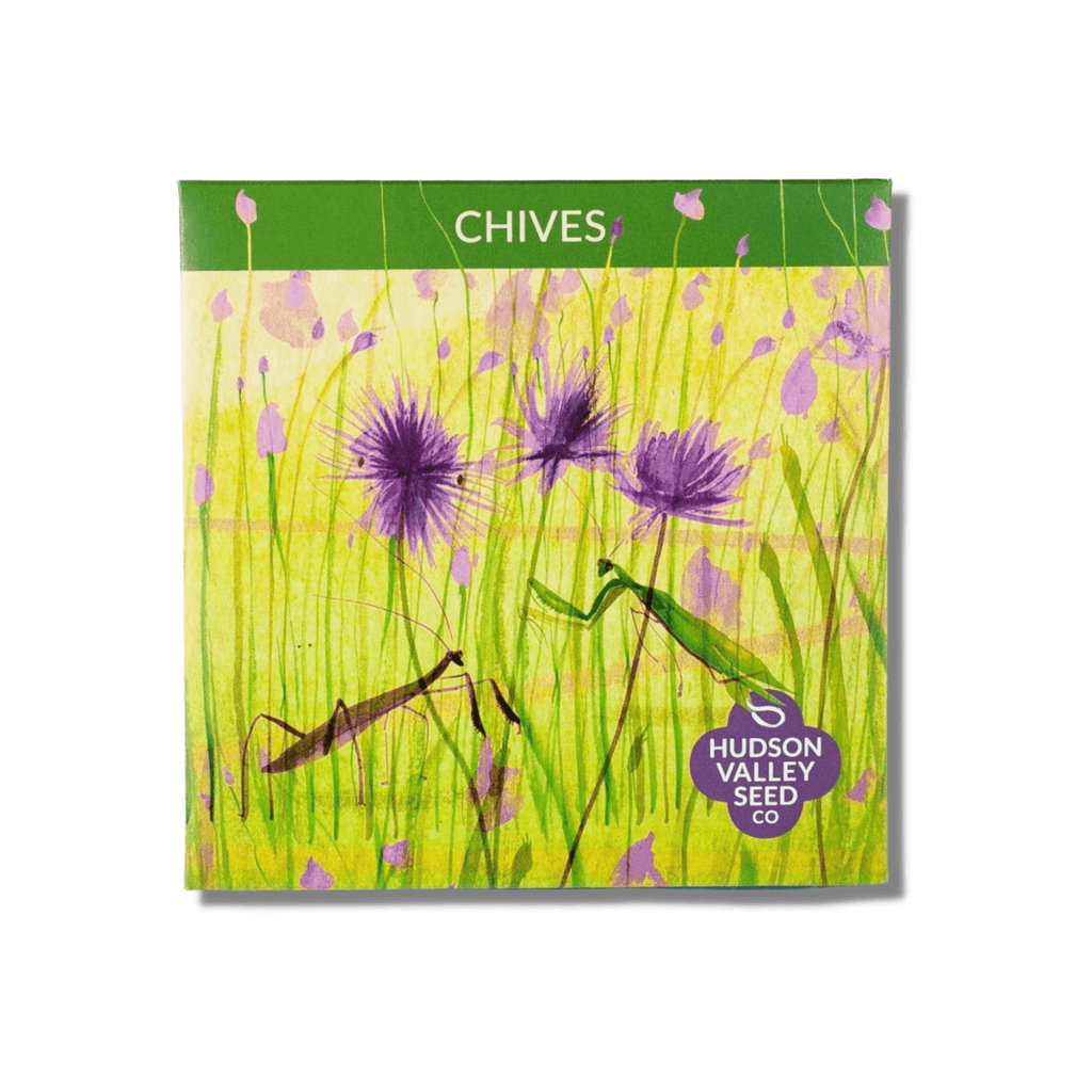 Chives - Hudson Valley Seed Co. - Mason & Greens