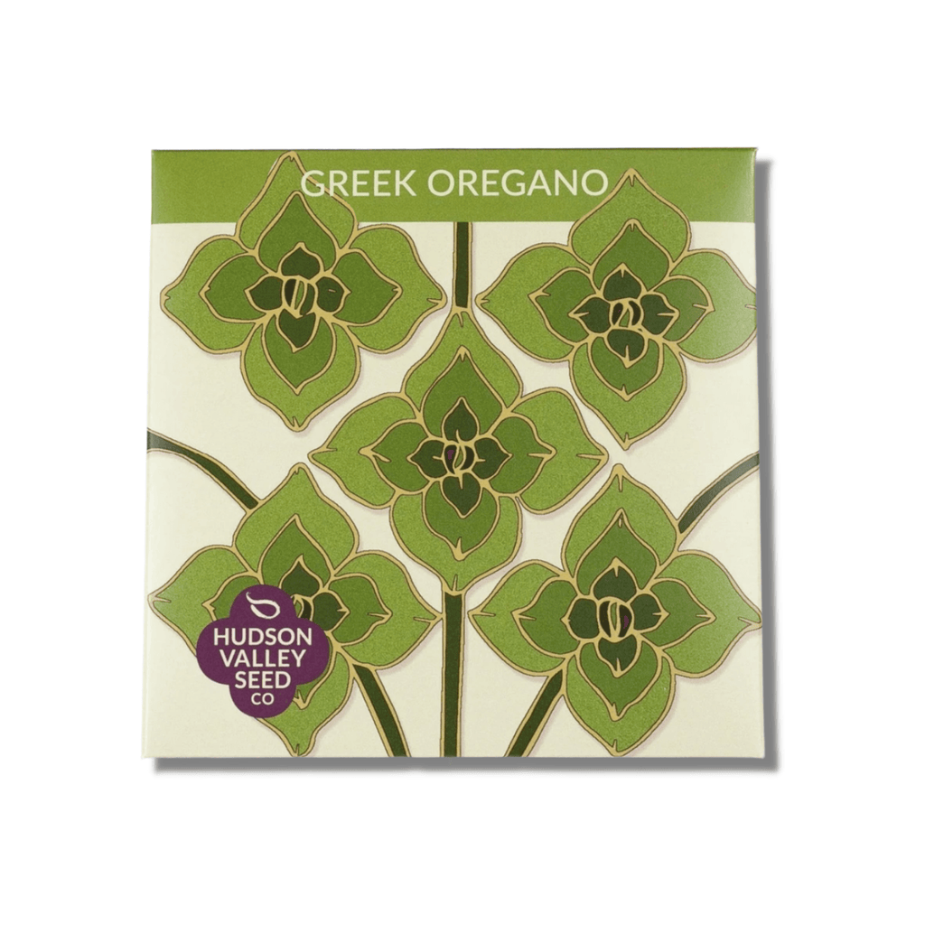 Greek Oregano - Hudson Valley Seed Co. - Mason & Greens