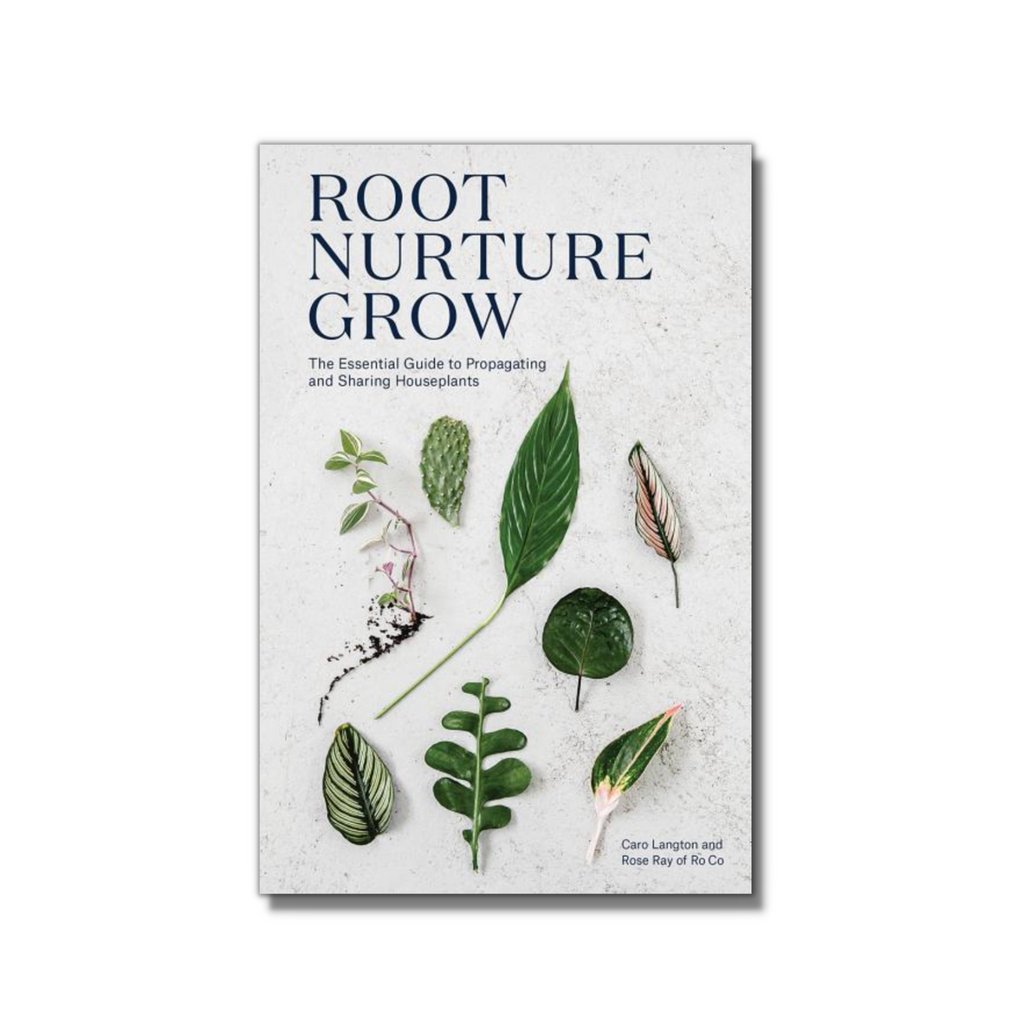 Root Nurture Grow
