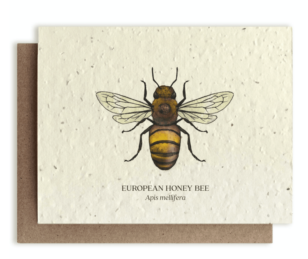 Honey Bee Plantable Card - Mason & Greens