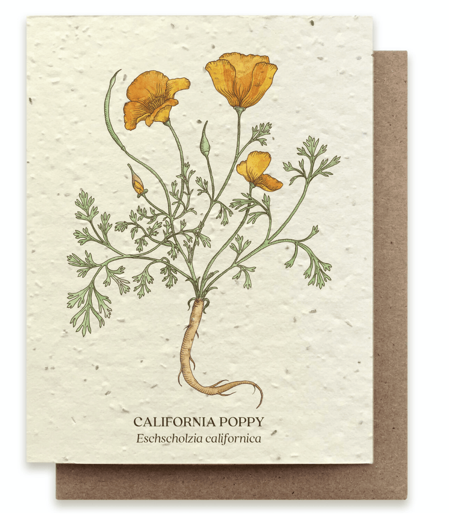 California Poppy Botanical Plantable Card - Mason & Greens