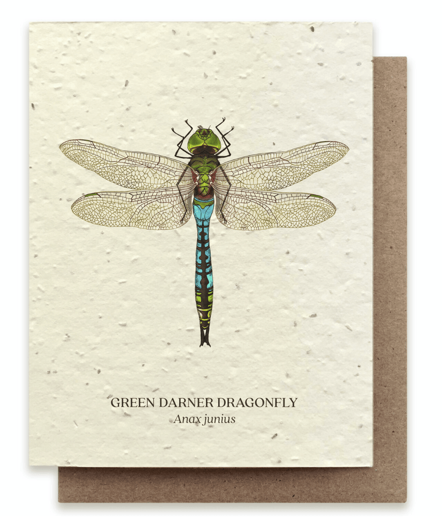 Green Darner Dragonfly Plantable Card - Mason & Greens