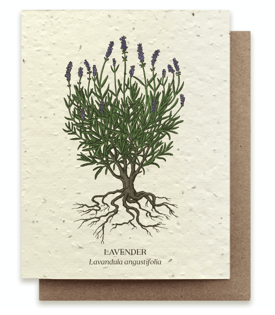 Lavender Plantable Card - Mason & Greens