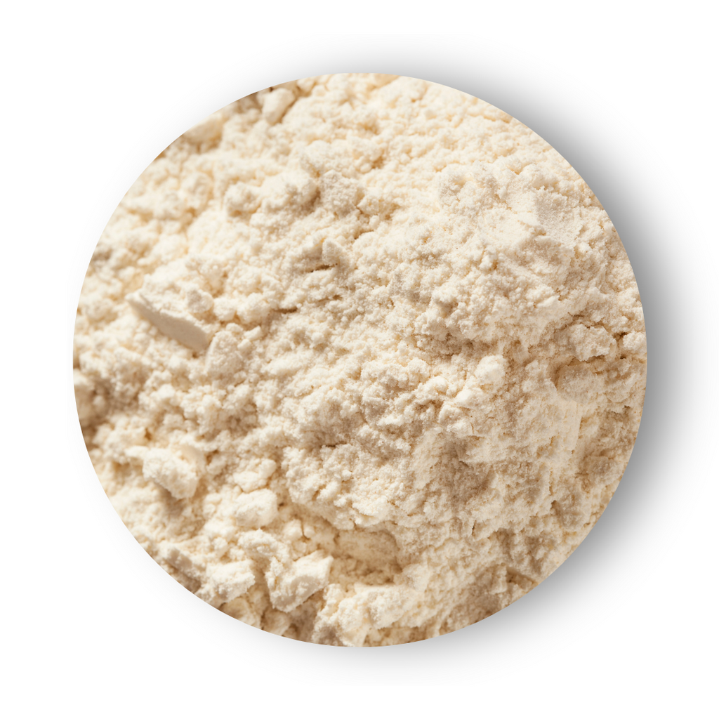 Whole Wheat Flour (Organic)